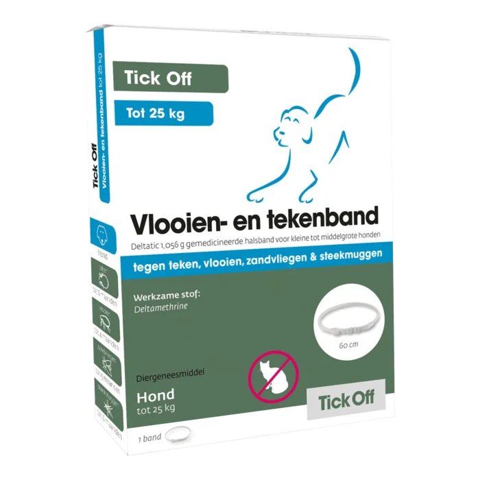 biezen-3794511