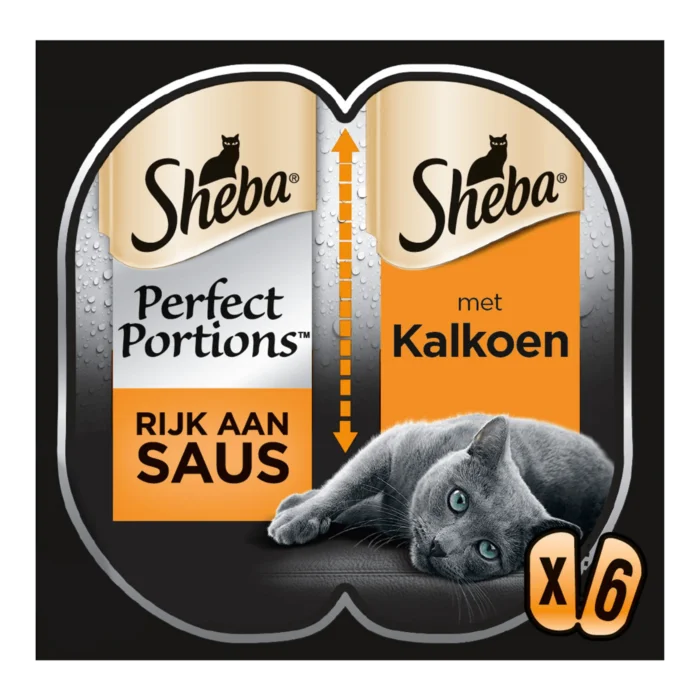 biezen-3794555