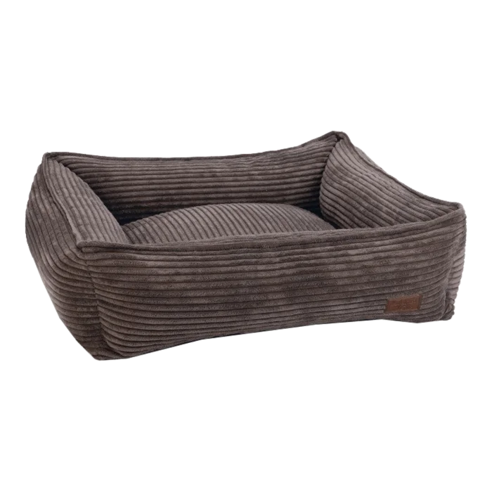 biezen-3794680