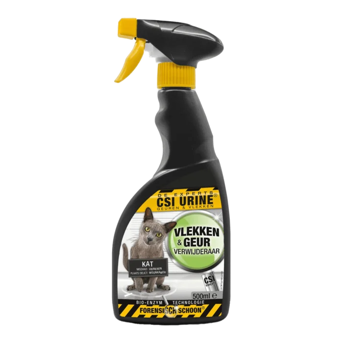 biezen-3794777