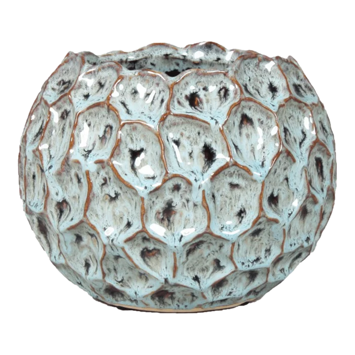 biezen-3794918