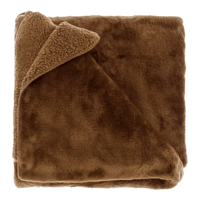 biezen-3795442