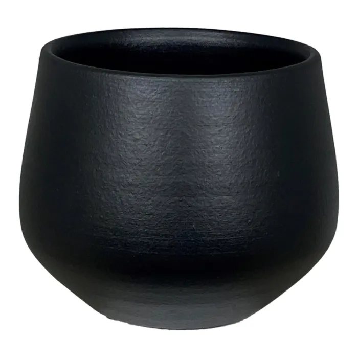 biezen-3795516