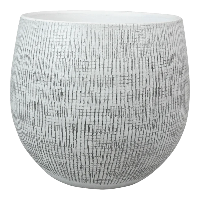 biezen-3796172