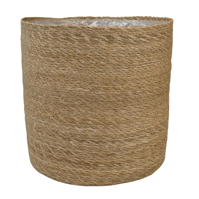 biezen-3796249