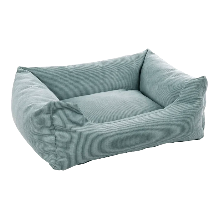 biezen-3796863