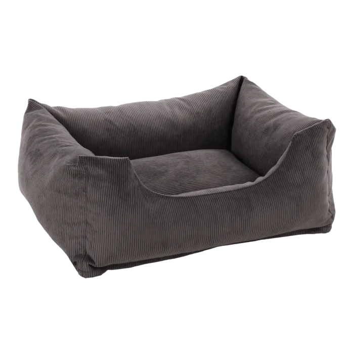 biezen-3796870