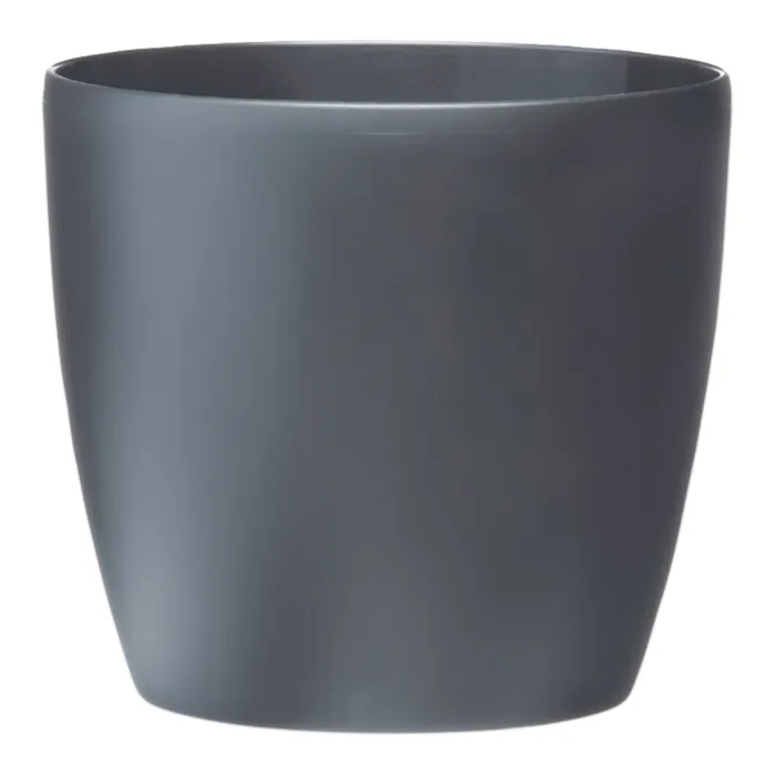 biezen-3797091