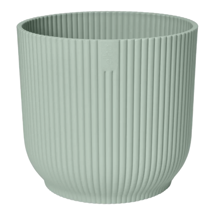 biezen-3797092