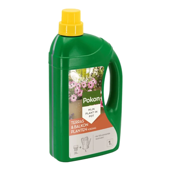 biezen-3797457