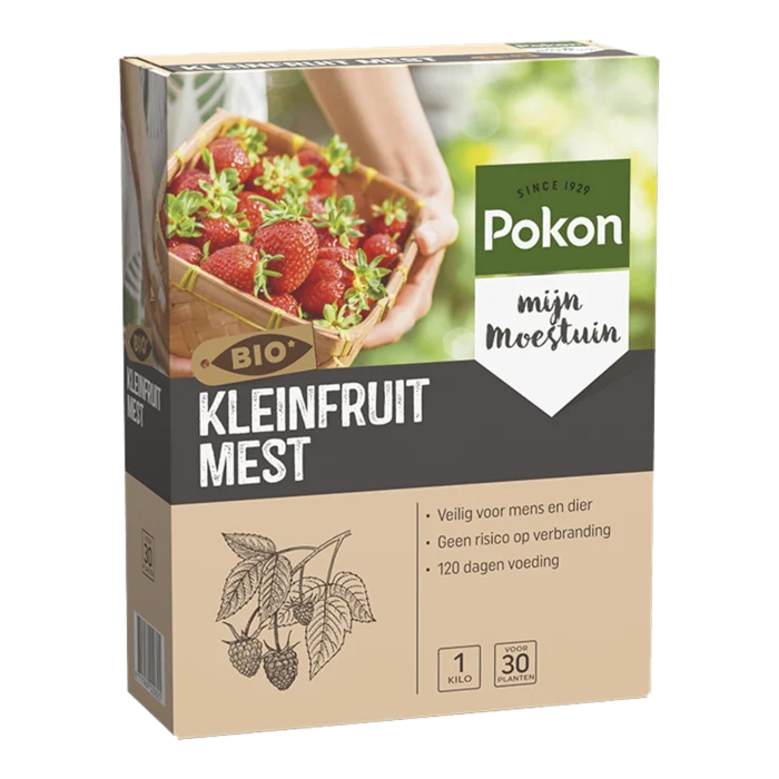 biezen-3797489