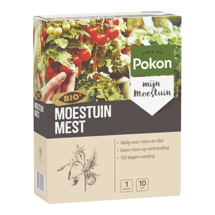 biezen-3797506