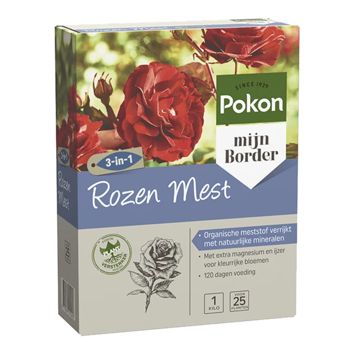 biezen-3797535