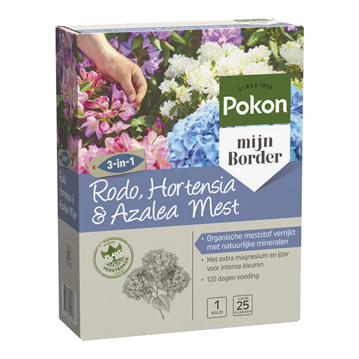biezen-3797572
