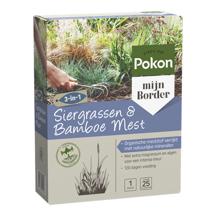 biezen-3797577