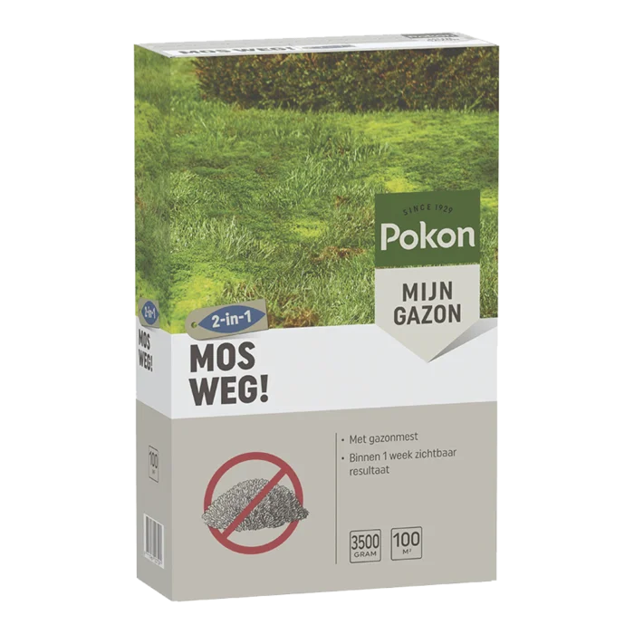 biezen-3797630