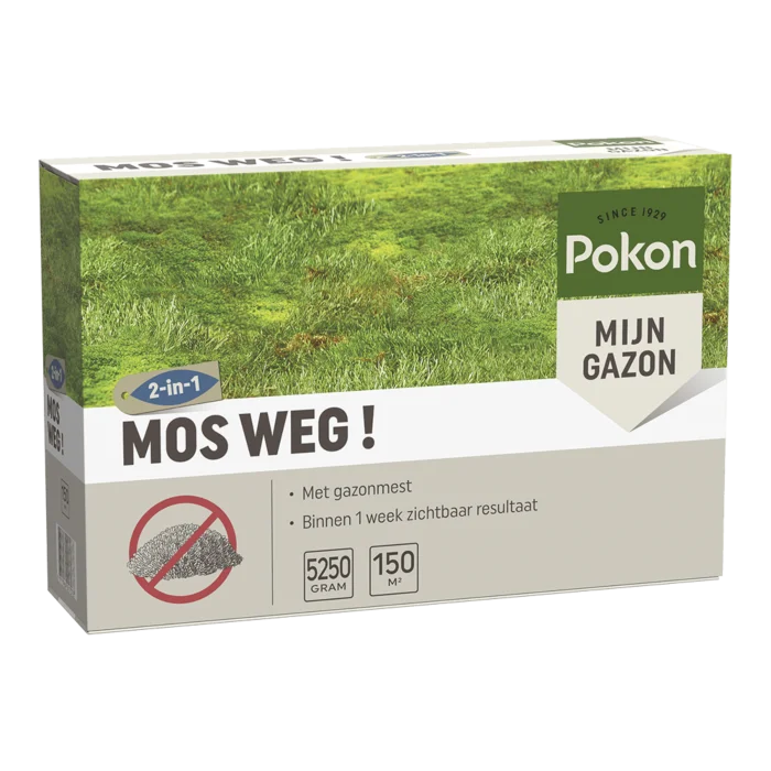 biezen-3797655