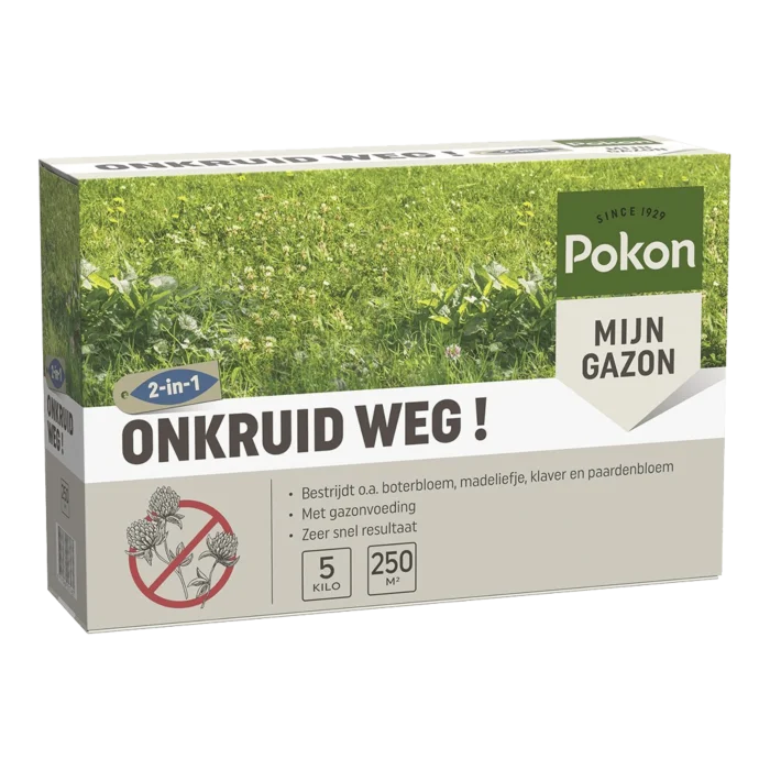 biezen-3797657
