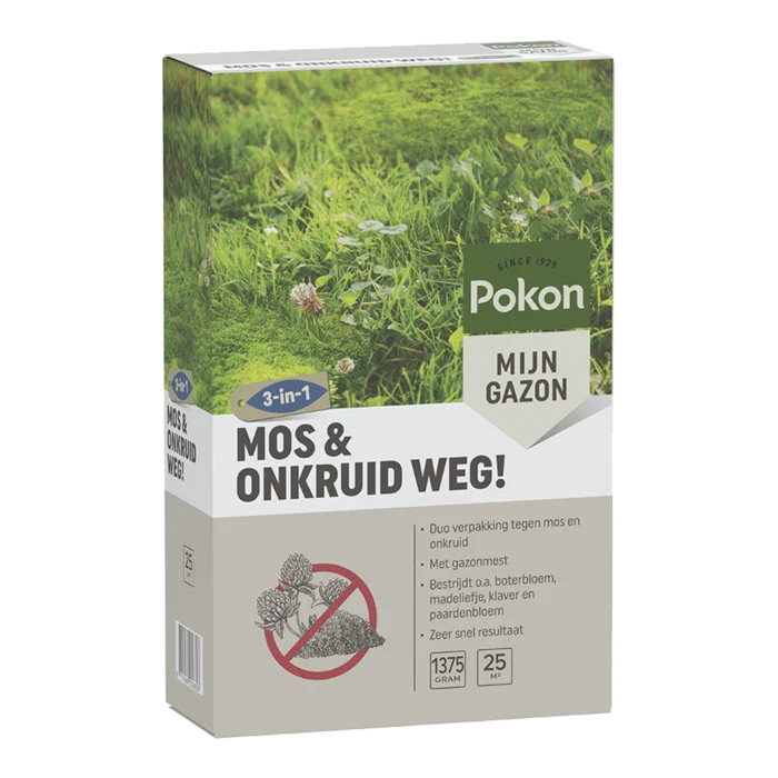 biezen-3797659
