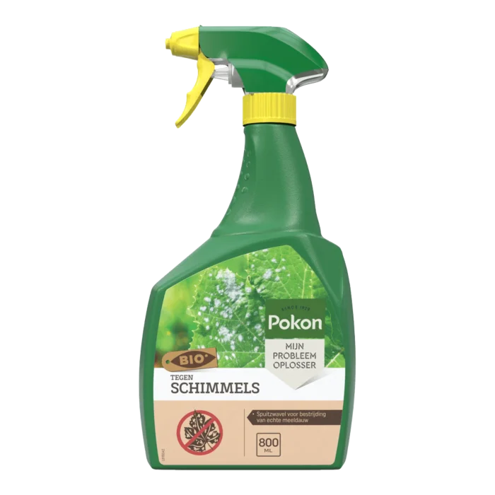 biezen-3797777