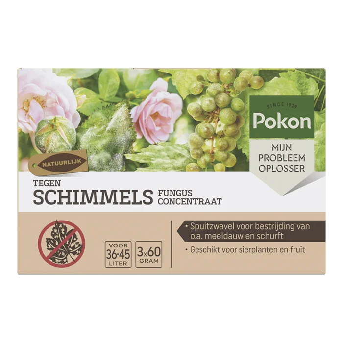biezen-3797781