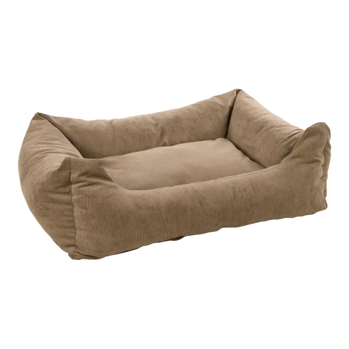 biezen-3798244