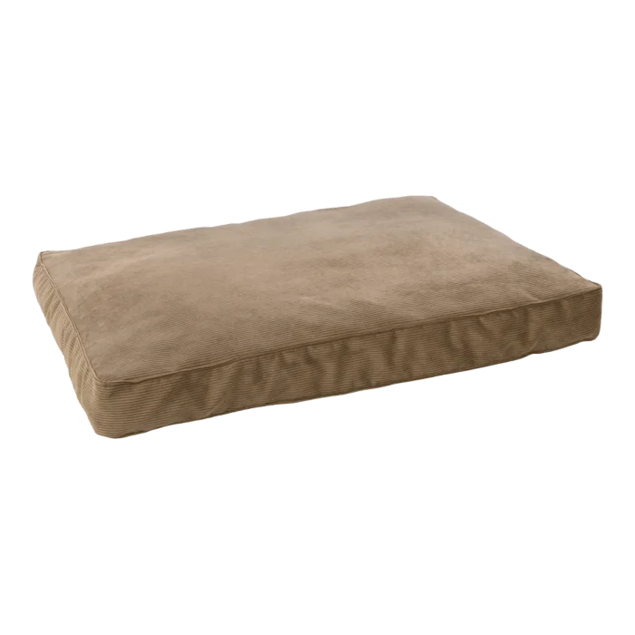 biezen-3798246