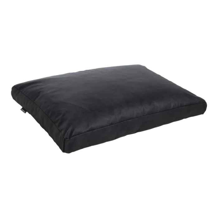 biezen-3798250