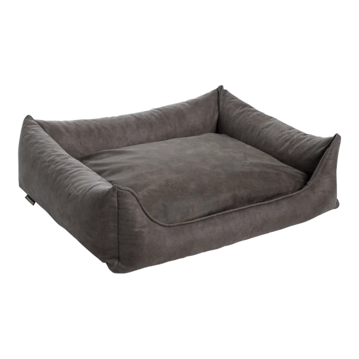 biezen-3798330