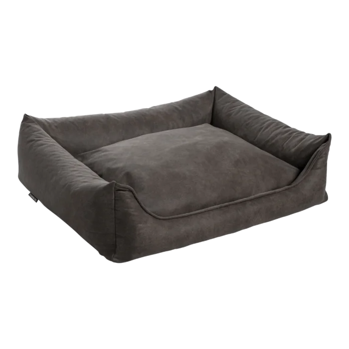 biezen-3798339