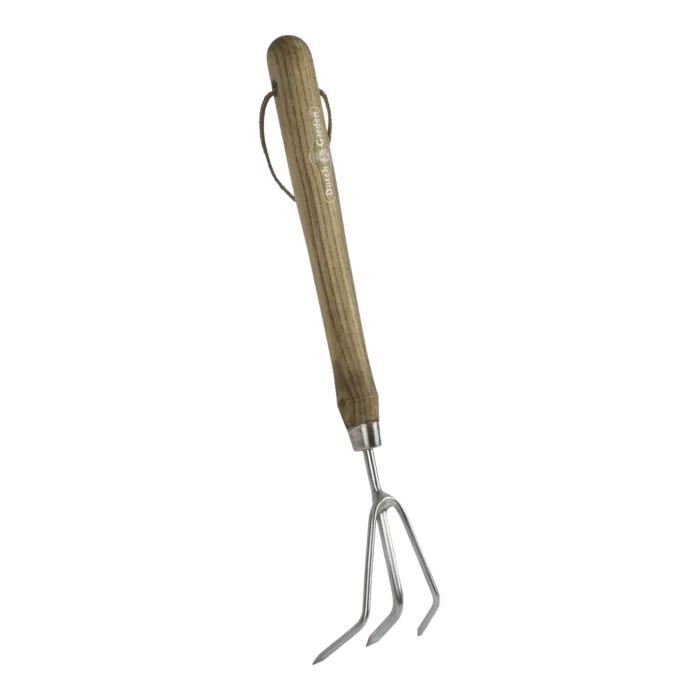 biezen-3798433