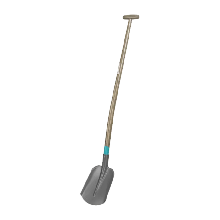 biezen-3798474