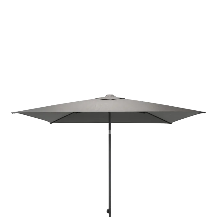 biezen-3798627