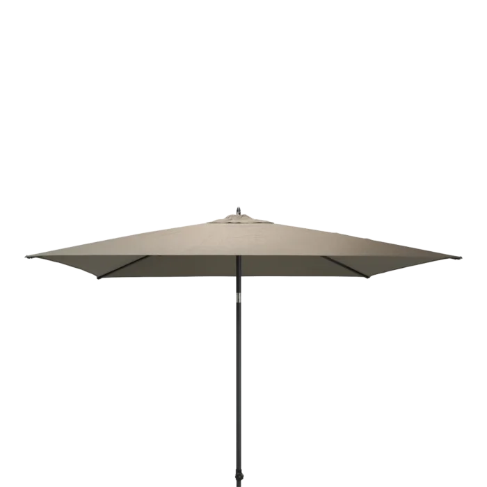 biezen-3798632