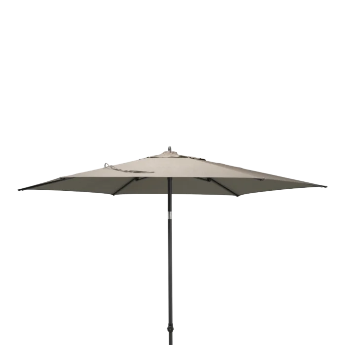 biezen-3798639