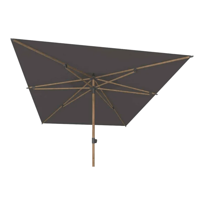 biezen-3798644