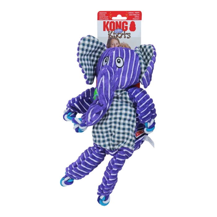biezen-3798953