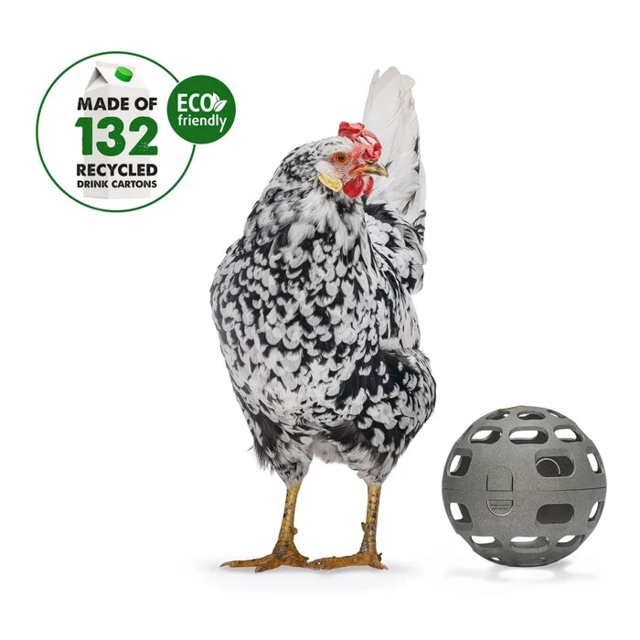 biezen-3799009
