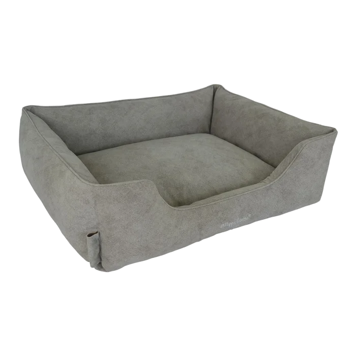 biezen-3799079