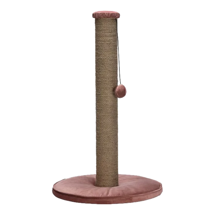 biezen-3799268