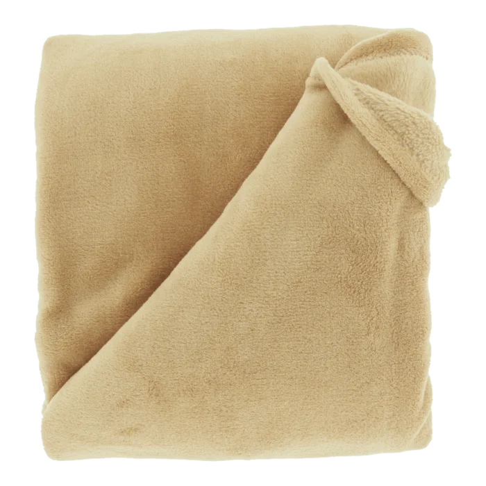 biezen-3800021
