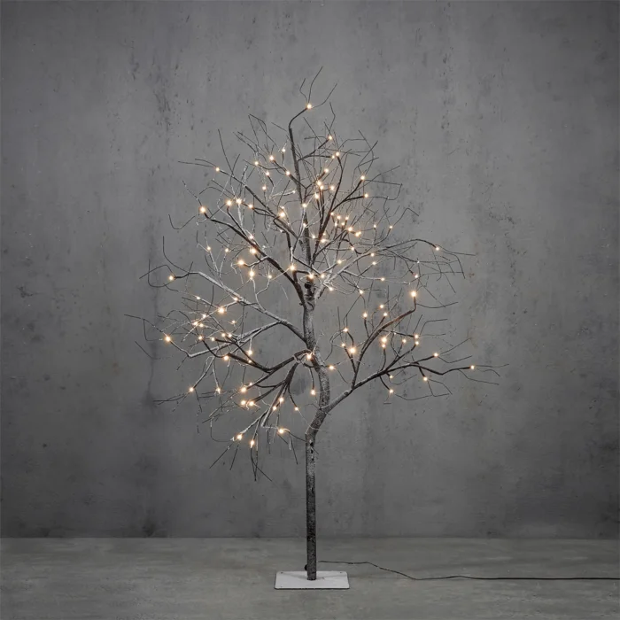 biezen-3800388