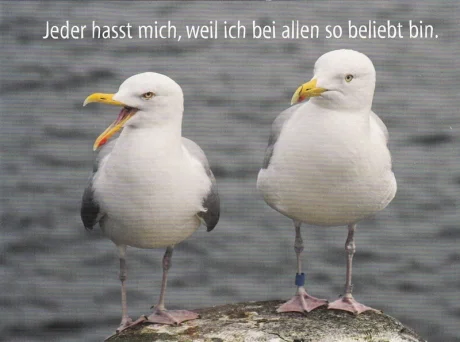 duft-und-deko-art-3509953