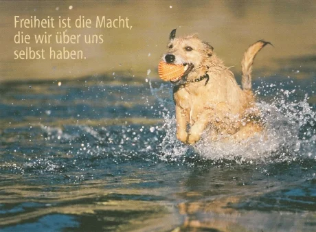 duft-und-deko-art-3509976