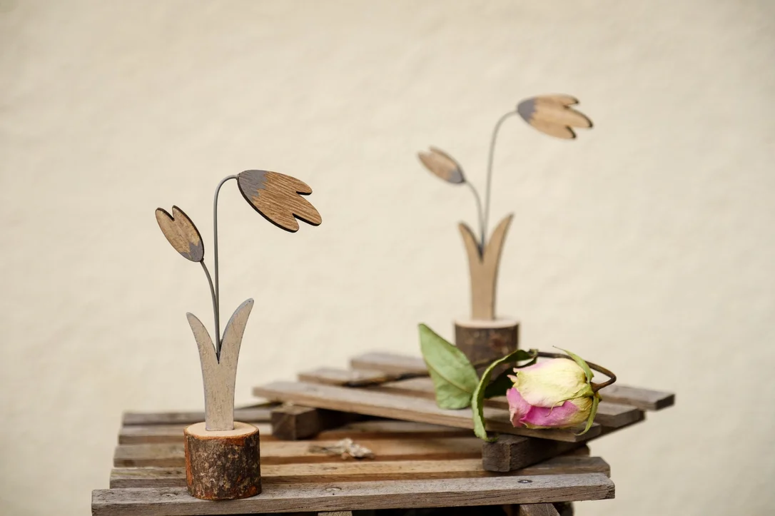 fischers-lagerhaus-3518770