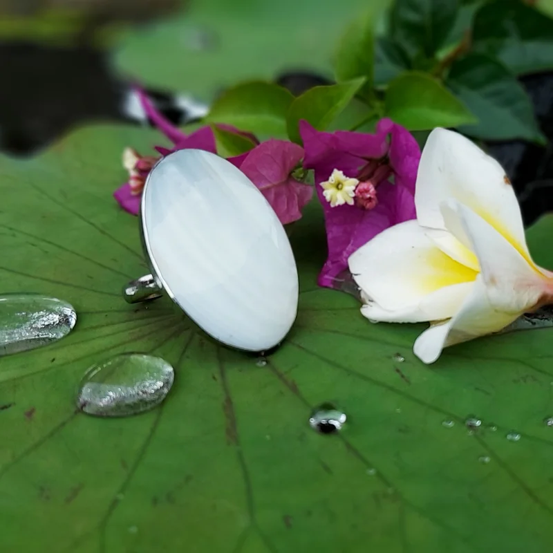 fischers-lagerhaus-3521340