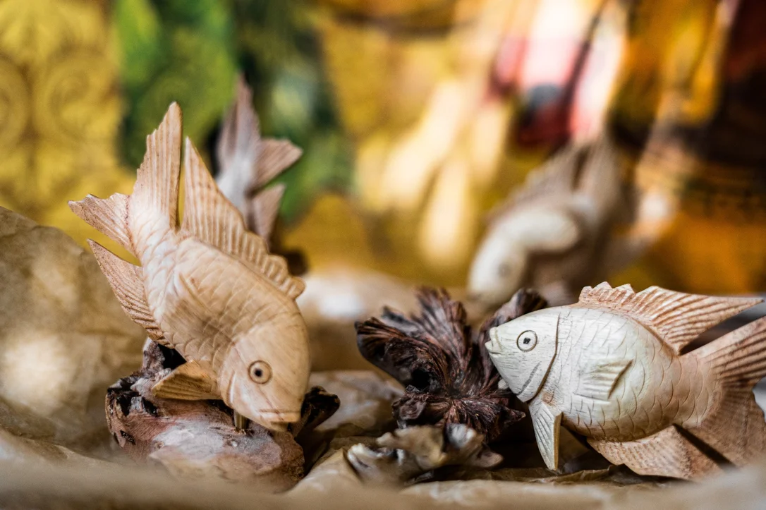 fischers-lagerhaus-3524557