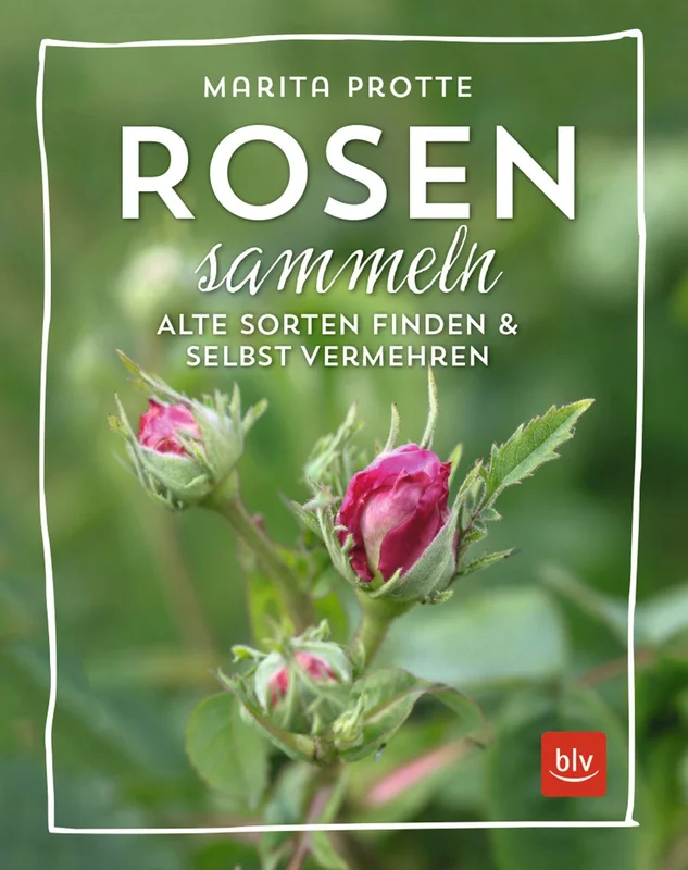 fischers-lagerhaus-3529343