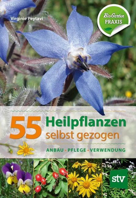 fischers-lagerhaus-3532447