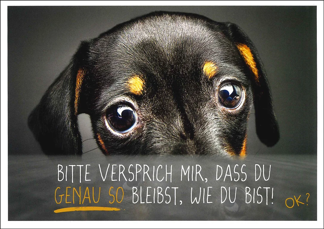 fischers-lagerhaus-3533035